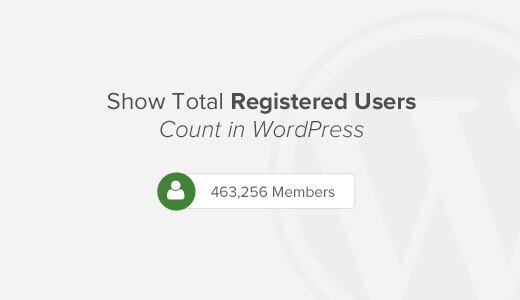 Hiển thị số thành viên trên website wordpress