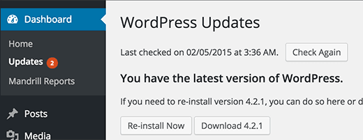 Có nên update wordpress không?